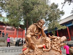 -少林寺欢喜地素斋馆