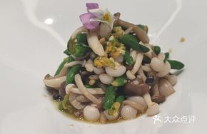 Mushroom and Cucumber Sprout