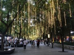 -大雁塔北广场音乐喷泉