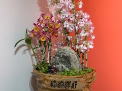 -云溪植物园