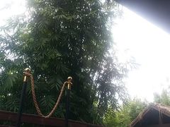 -崇阳三特浪口温泉