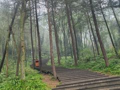 -青城山