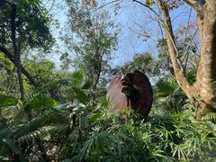 -海南热带野生动植物园
