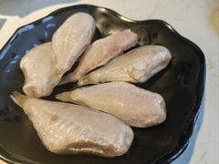 -二荆条·蜀鲜汇城市森林火锅
