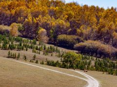 -塞罕坝国家级自然保护区