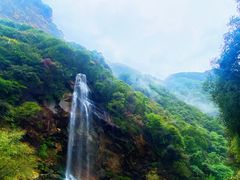 -少华山国家森林公园