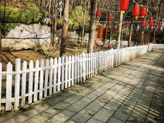 -草根堂农场