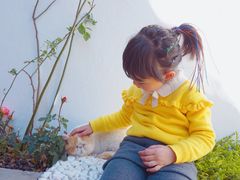 -喵屿·大理花园猫咖