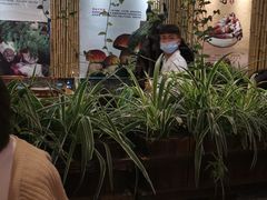 -大理董·董家小厨野生菌火锅(古城旗舰店)