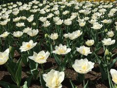 -长春公园(普阳街道)