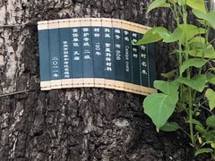 -苏州文庙(姑苏区)
