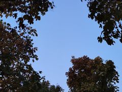 -洨河生态公园