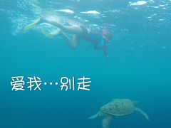-马达京岛