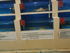 -裕德隆清真饭庄·天津特色菜(东丽店)