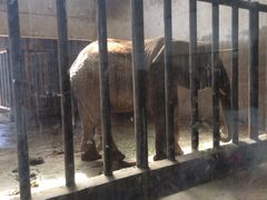 -石家庄市动物园