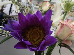 -UNI UNI(环亚凯瑟琳店)