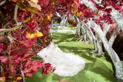 -梵梦影像馆(绿博园店)