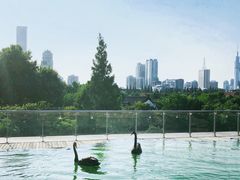 -行者书屋大堂吧 ·下午茶(南京圣和府邸酒店)