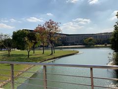 -上海佘山世茂艾美酒店