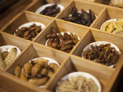 -昆虫窝子·特色云南菜(拓东路总店)