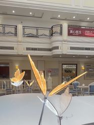-禾丽康美医疗美容医院