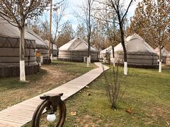 -九十九顶毡房(阜石路店)