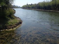iphone_upload_pic-新江湾城公园