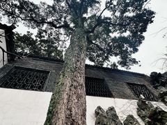 -何园