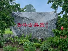 -御林古桑园