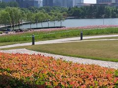 -白塘生态植物园