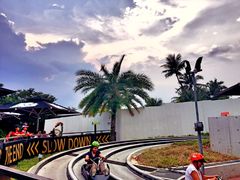 -圣淘沙天际线斜坡滑车