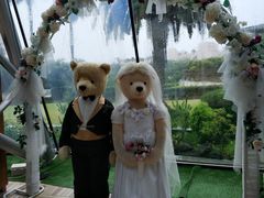 -济州岛泰迪熊博物馆