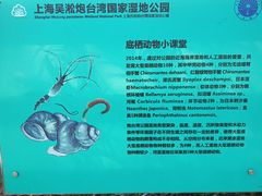 -上海吴淞炮台湾国家湿地公园