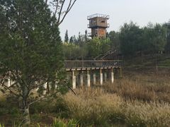 -东郊湿地公园