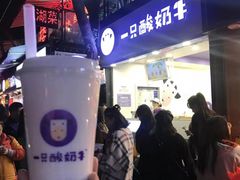 -一只酸奶牛(八一路店)