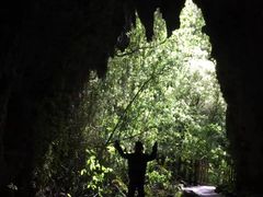 -怀托摩萤火虫洞