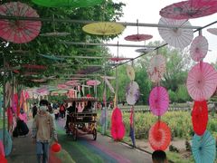 -祥源·阜阳生态乐园