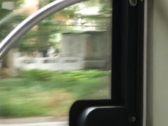 -勺园中餐厅