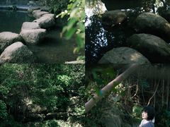 -燕晗山郊野公园