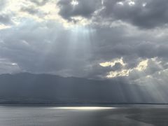 -野菌皇海景野生菌火锅(滨海大道店)