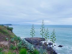 -漳州滨海火山岛自然生态风景区