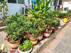 -姥家大锅台水库渔家