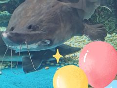 -成都浩海立方海洋公园