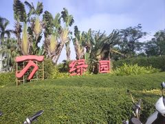 -万绿园