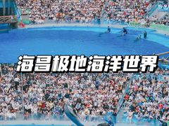 -海合安成都极地海洋公园