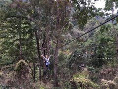 -清迈丛林飞跃 JungleFlight