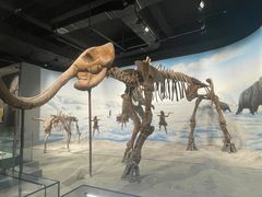 -辽宁古生物博物馆