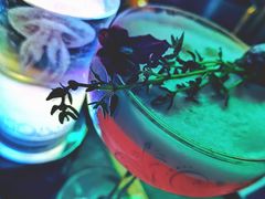 -MOSSO音乐酒吧·Live House(南京西路店)
