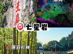 -鼎香皇高佬苏裹蒸粽