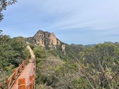 -大岭沟猕猴桃谷风景区